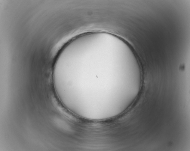 X0000113091507200909182101