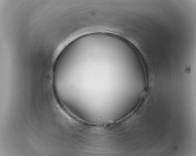 X0000113091508200909182101