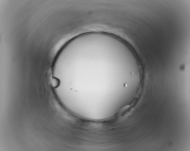 X0000113091509200909182101