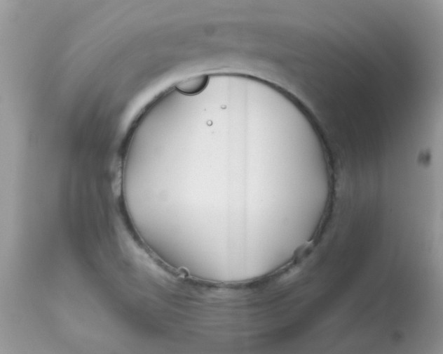 X0000113091510200909182101