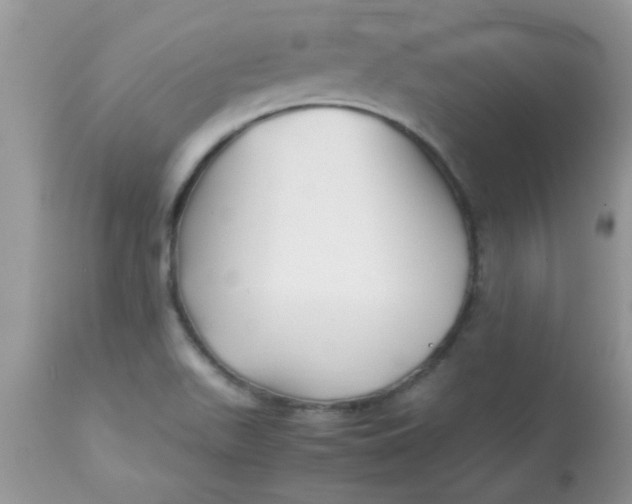 X0000113091511200909182101