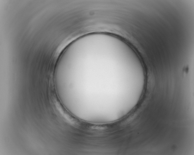 X0000113091513200909182101