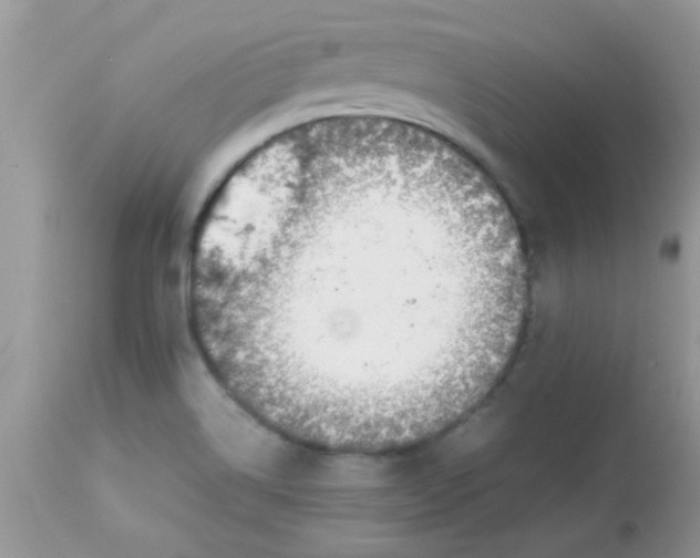 X0000113091514200909182101
