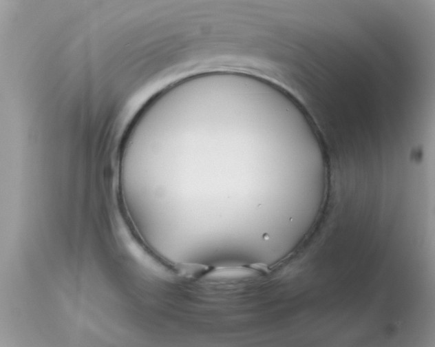 X0000113091515200909182101