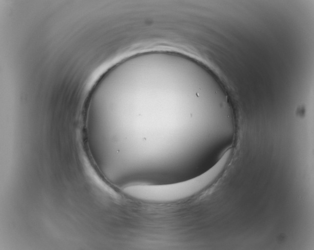 X0000113091518200909182101