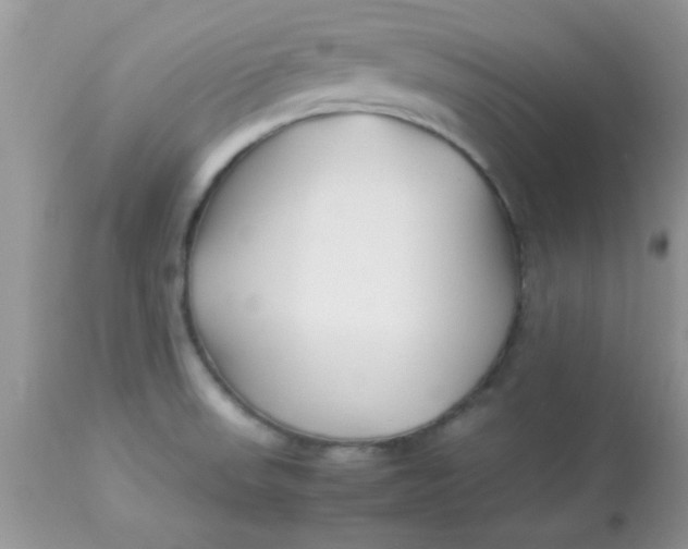 X0000113091523200909182101