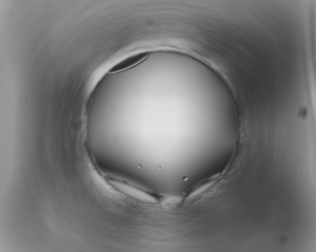 X0000113091524200909182101