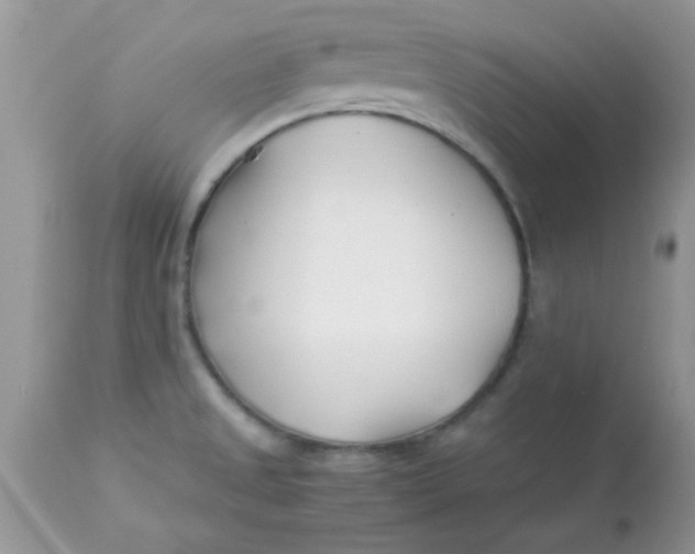 X0000113091525200909182101