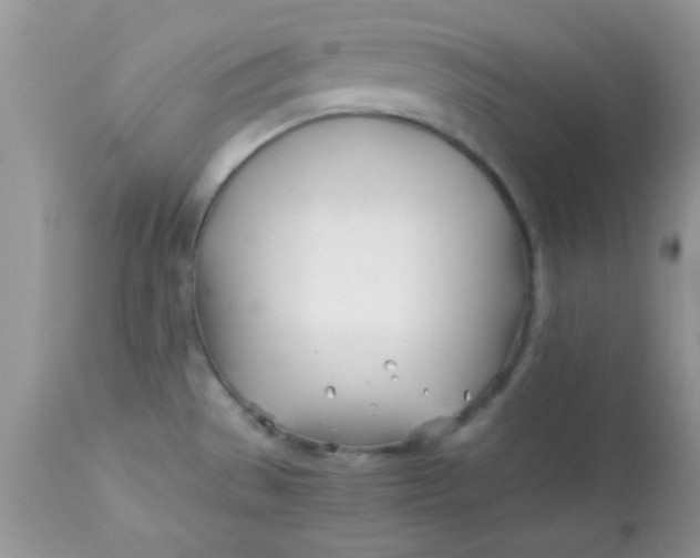 X0000113091529200909182101