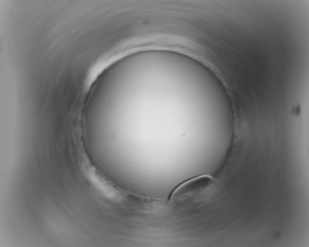 X0000113091530200909182101