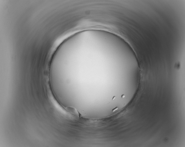 X0000113091531200909182101