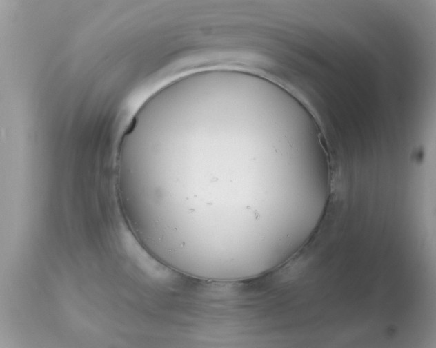 X0000113091532200909182101