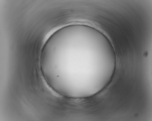 X0000113091533200909182101