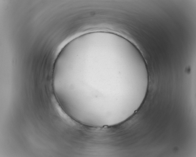 X0000113091534200909182101