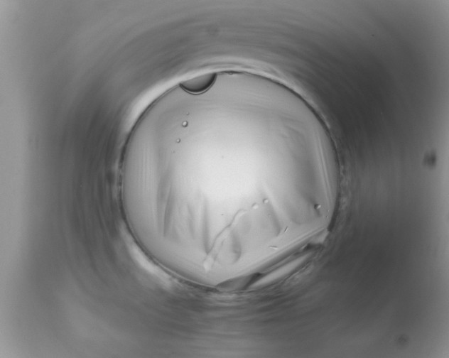 X0000113091535200909182101