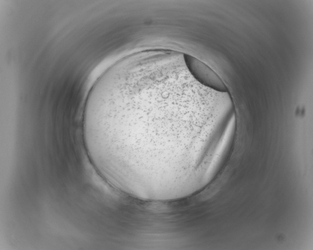 X0000113091536200909182101
