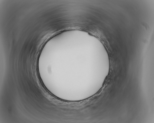 X0000113090001200909251020