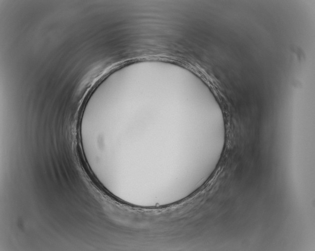 X0000113090002200909251020