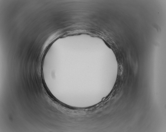 X0000113090004200909251020