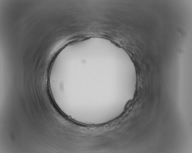 X0000113090005200909251020