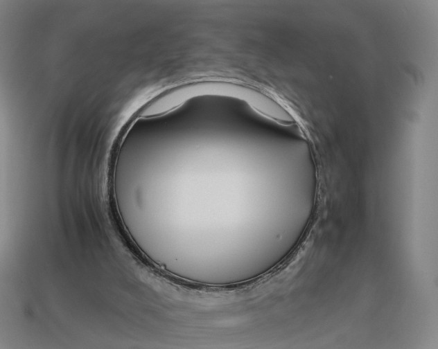 X0000113090008200909251020