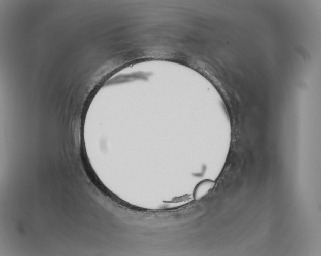 X0000113090011200909251020
