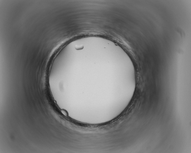 X0000113090012200909251020