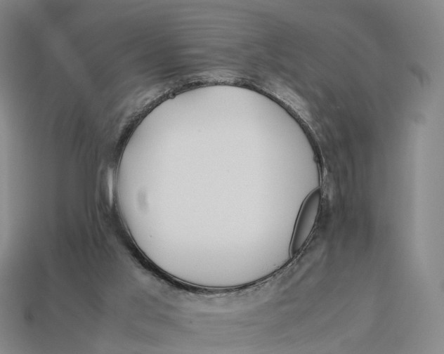 X0000113090013200909251020