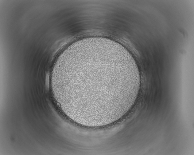 X0000113090014200909251020