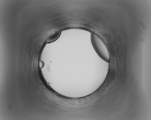 X0000113090015200909251020