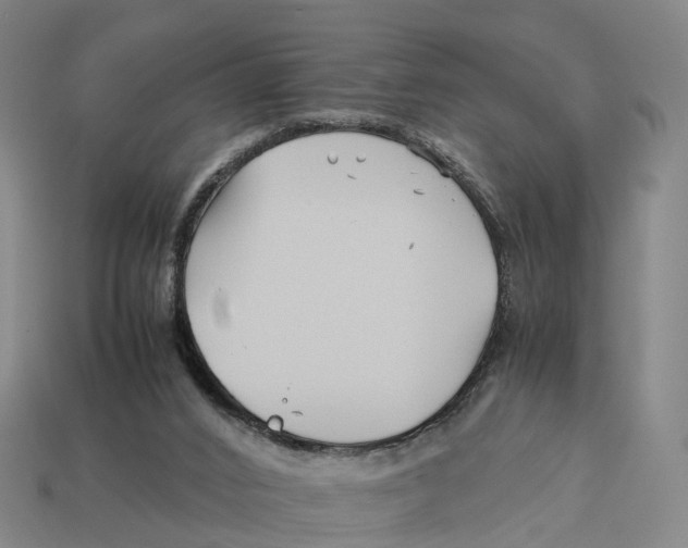 X0000113090016200909251020