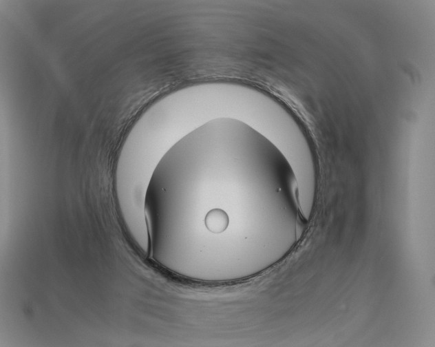 X0000113090017200909251020