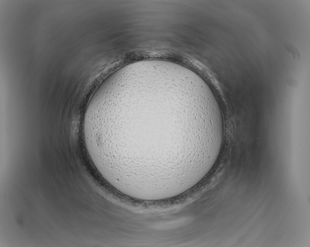 X0000113090018200909251020