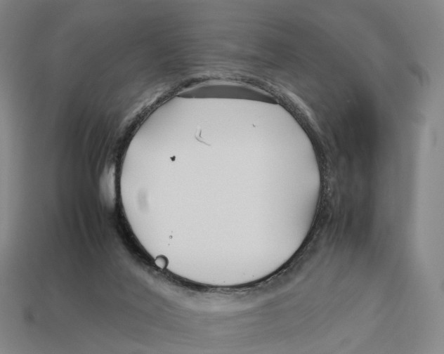 X0000113090020200909251020