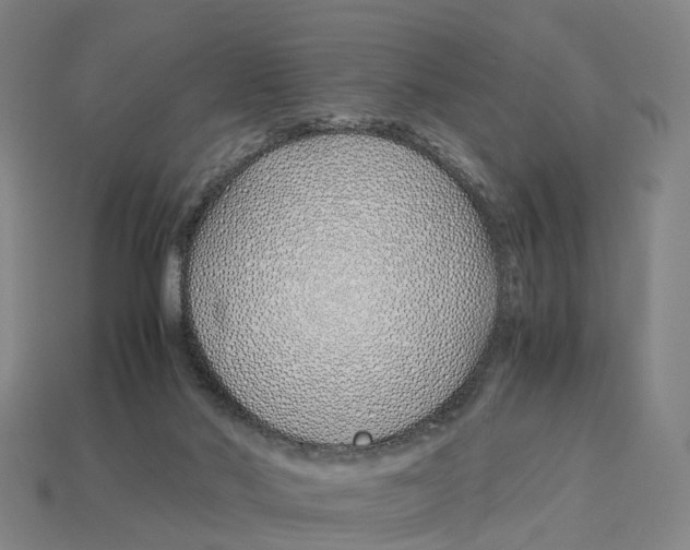 X0000113090022200909251020