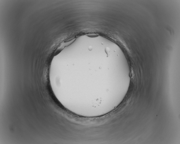 X0000113090023200909251020