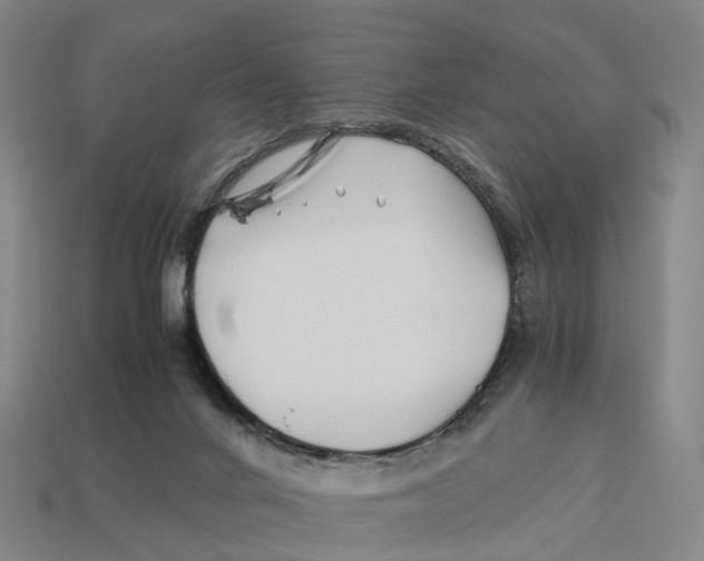 X0000113090024200909251020