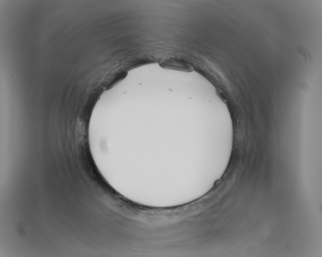 X0000113090025200909251020