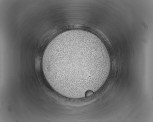 X0000113090026200909251020