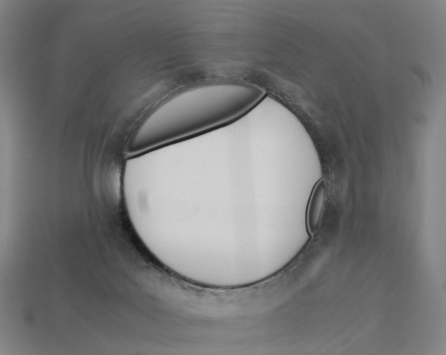 X0000113090027200909251020