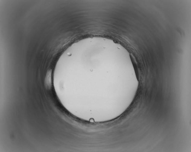 X0000113090028200909251020
