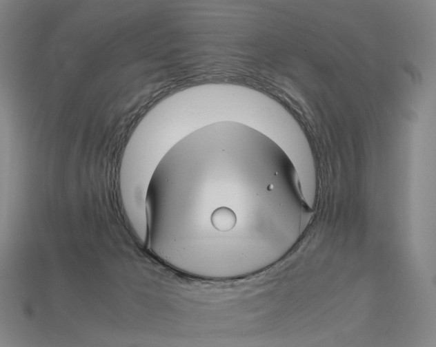 X0000113090029200909251020