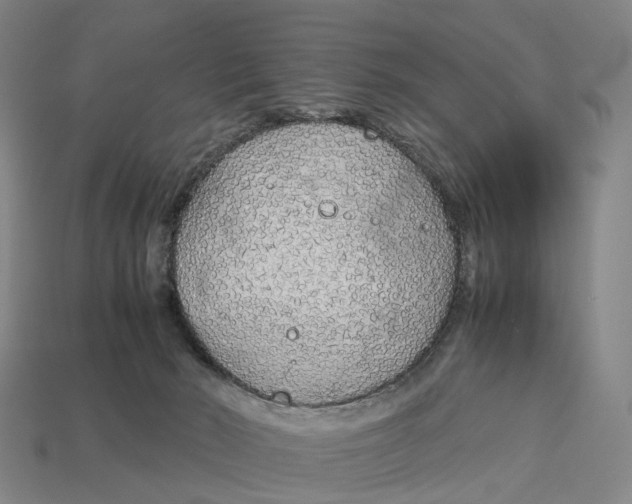 X0000113090030200909251020