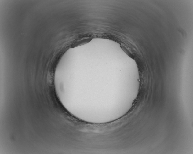 X0000113090033200909251020