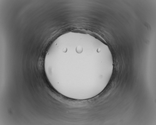 X0000113090036200909251020