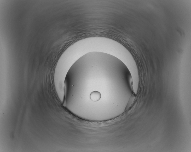 X0000113090037200909251020