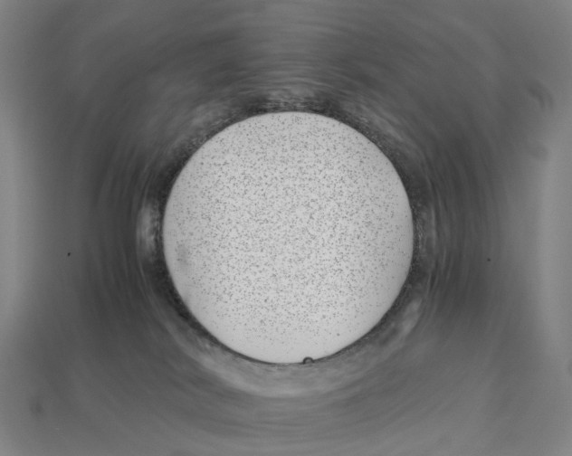 X0000113090038200909251020