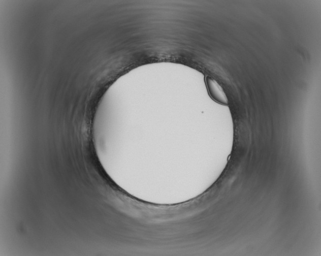 X0000113090039200909251020