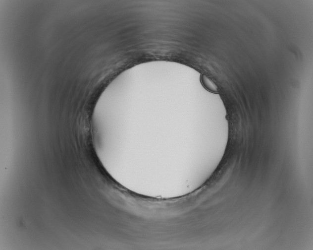 X0000113090040200909251020