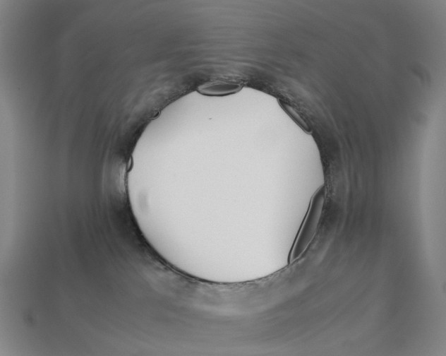 X0000113090041200909251020
